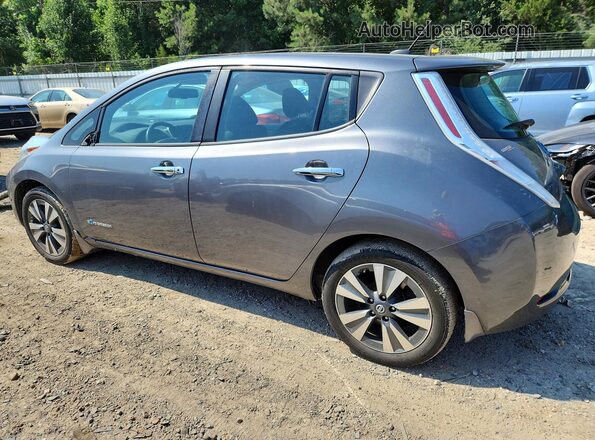 1N4BZ0CP5GC313857 2016 NISSAN LEAF Gray უკანა მარჯვენა