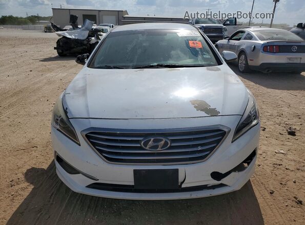 5NPE24AF2GH386301 2016 HYUNDAI SONATA White Հետևի տեսք