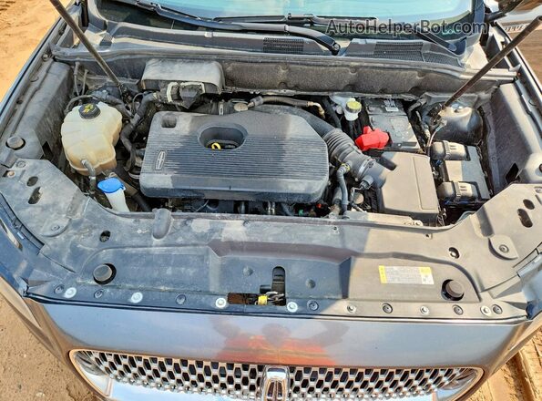 2LMPJ8J95LBL31926 2020 LINCOLN NAUTILUS Charcoal VIN կոդի պիտակի տեսք