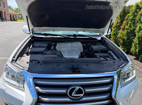 JTJBM7FX8J5186981 2018 LEXUS GX Белый Панорамный вид салона 360°