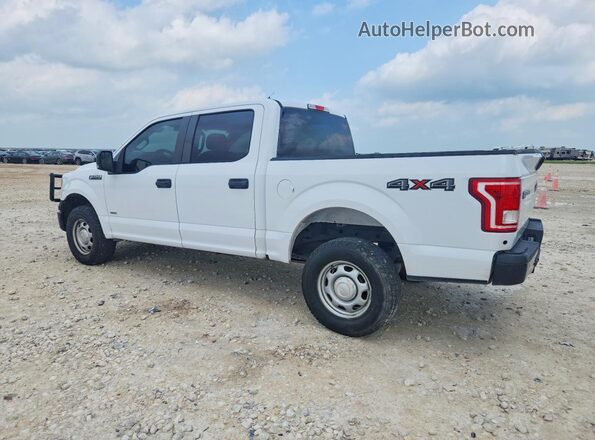 1FTEW1EG4HKD34810 2017 FORD F150 White უკანა მარჯვენა