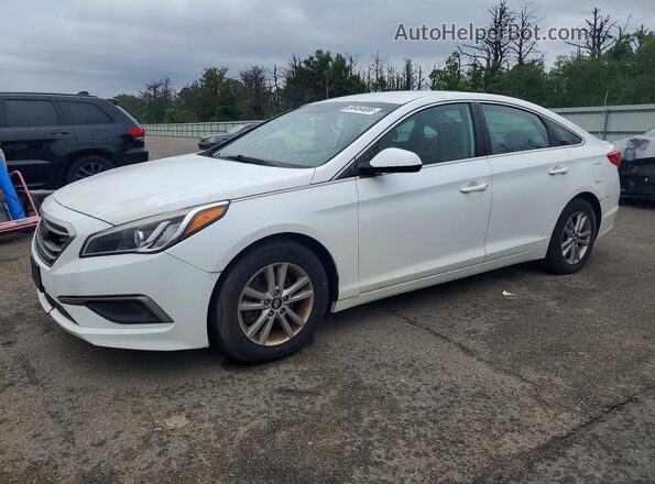 5NPE24AF8GH353044 2016 HYUNDAI SONATA Белый Задняя левая четверть