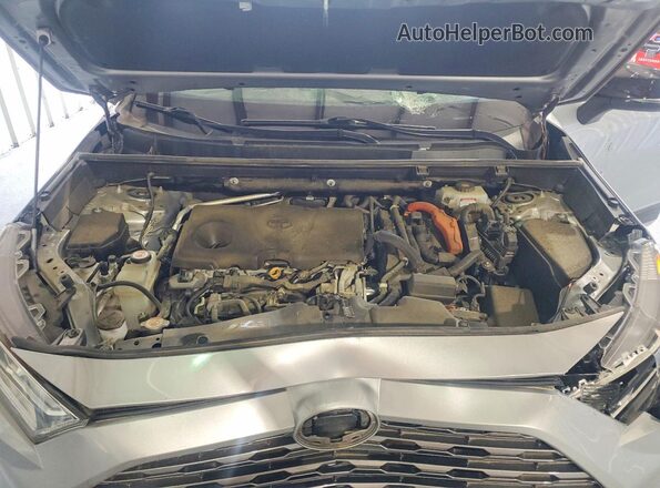 2T3EWRFV5KW015264 2019 TOYOTA RAV4 Silver VIN კოდის სტიკერის ხედი