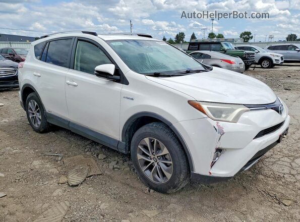 JTMRJREV2GD033095 2016 TOYOTA RAV4 White Vista frontal