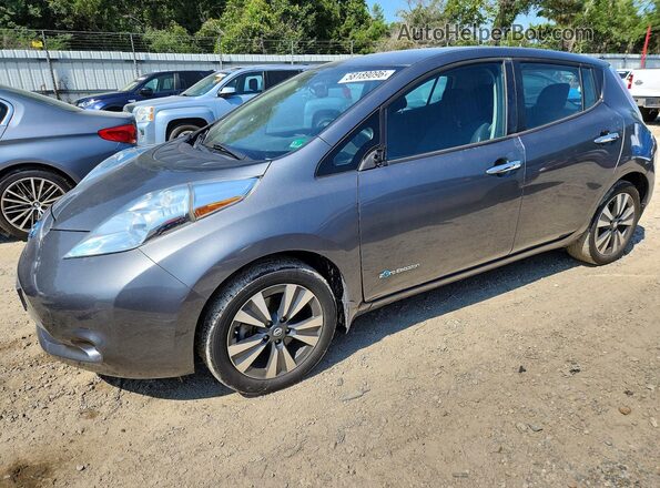 1N4BZ0CP5GC313857 2016 NISSAN LEAF Gray უკანა მარცხენა