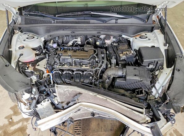 5NMS1DAJ1PH488552 2023 HYUNDAI SANTA White VIN կոդի պիտակի տեսք