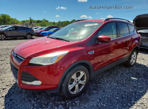 1FMCU9GXXGUA42098 2016 FORD ESCAPE Red Հետևի ձախ