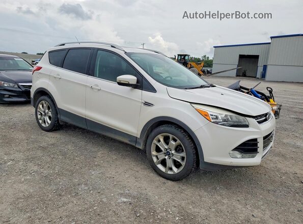 1FMCU9J94GUB54941 2016 FORD ESCAPE Белый Вид спереди