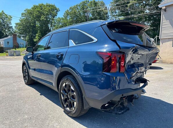 5XYRL4JC8SG344980 2025 KIA SORENTO Blue Tył prawy