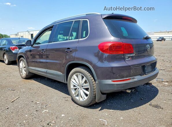 WVGBV7AX9GW566059 2016 VOLKSWAGEN TIGUAN Gray Задня права чверть