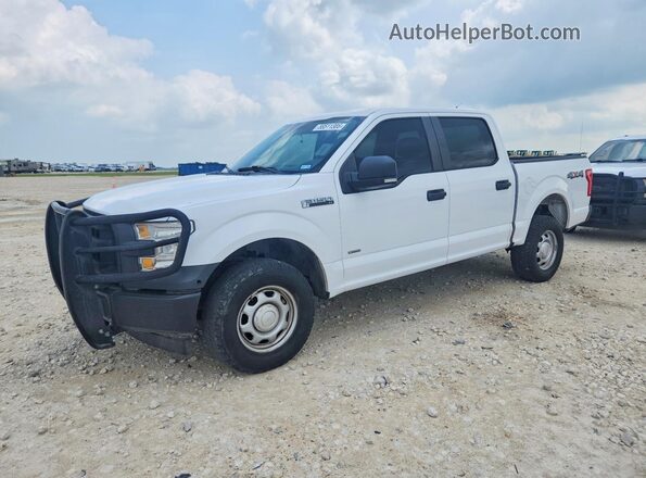 1FTEW1EG4HKD34810 2017 FORD F150 White უკანა მარცხენა