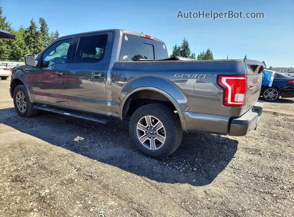 1FTEW1EG8HFA47317 2017 FORD F150 Charcoal Rear right