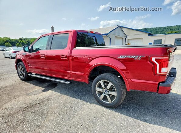 1FTFW1EG8HFB28547 2017 FORD F150 Red უკანა მარჯვენა