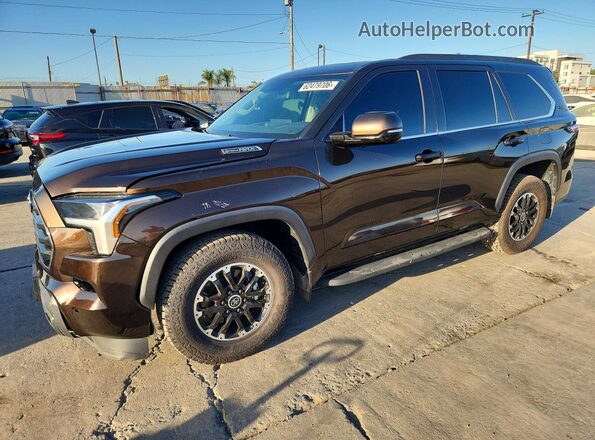 7SVAAABAXPX006652 2023 TOYOTA SEQUOIA Brown უკანა მარცხენა