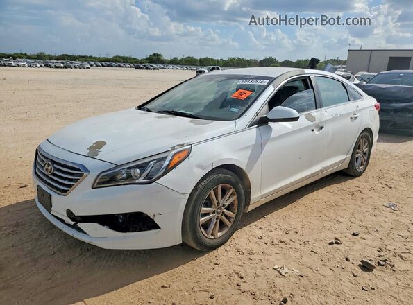 5NPE24AF2GH386301 2016 HYUNDAI SONATA White Հետևի ձախ