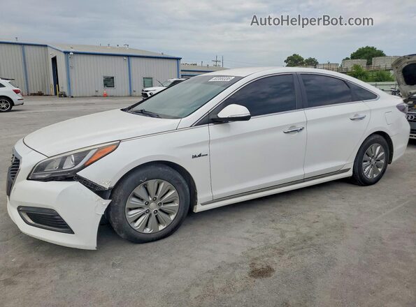 KMHE24L18GA021710 2016 HYUNDAI SONATA White უკანა მარცხენა