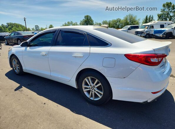 5NPE24AF1HH485046 2017 HYUNDAI SONATA White Tył prawy