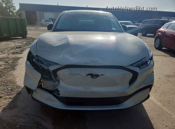 3FMTK1S56SMA12106 2025 FORD MUSTANG Tan Вид ззаду