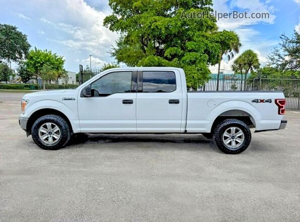 1FTFW1E52LFA00232 2020 FORD F150 White Vista de la etiqueta del VIN