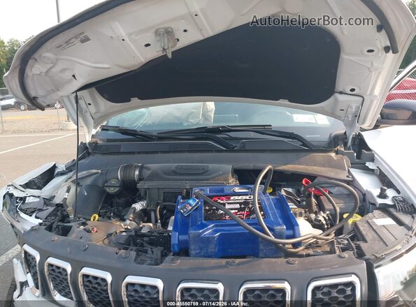 3C4NJDAN5RT599384 2024 JEEP COMPASS White Widok z tyłu