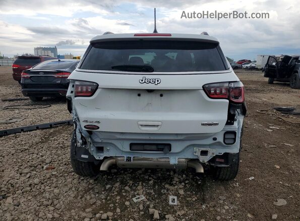 3C4NJDBN0ST535029 2025 JEEP COMPASS White Rear view