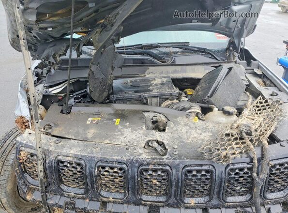 3C4NJDBN6RT581507 2024 JEEP COMPASS Серебряный Вид задней части салона