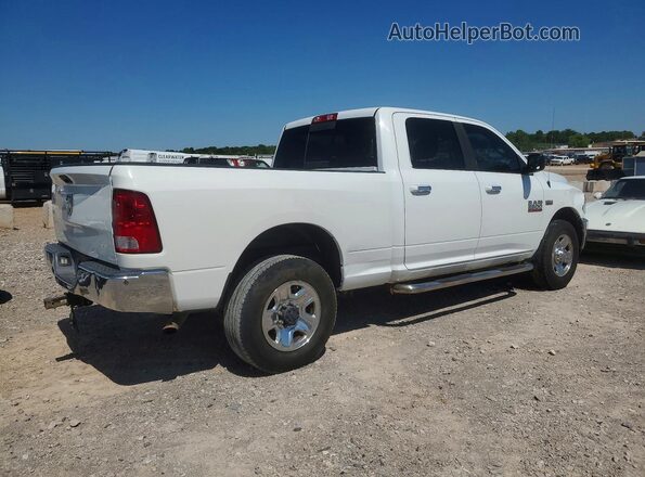 3C6TR4DT8GG386887 2016 RAM 2500 White Հետևի աջ