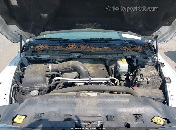 3C6TR5HT0GG236823 2016 RAM 2500 Белый Вид сзади