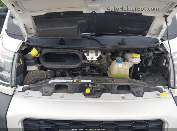 3C6TRVAG2LE127296 2020 RAM PROMASTER 1500 White უკანა ხედი