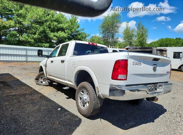 3C6UR5CL2HG516689 2017 RAM 2500 White Հետևի ձախ