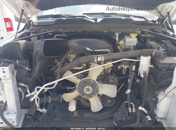 3C7WR4AJ4RG301882 2024 RAM 2500 White Հետևի տեսք