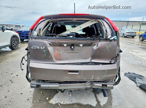 3CZRM3H59GG709197 2016 HONDA CR-V Коричневый Вид сзади