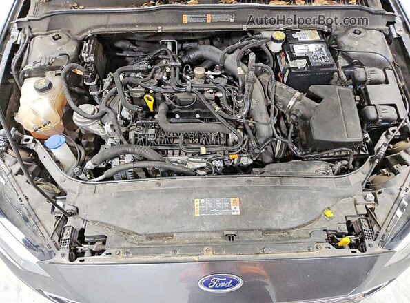 3FA6P0HD3LR257841 2020 FORD FUSION Gray Вид задньої частини салону