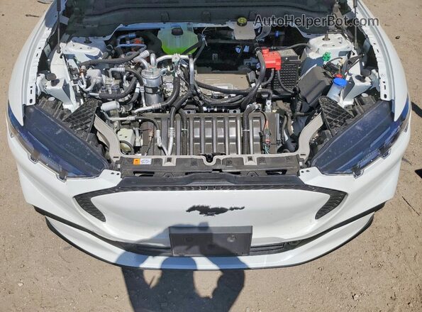 3FMTK1R49TMA00465 2026 FORD MUSTANG White უკანა სალონის ხედი
