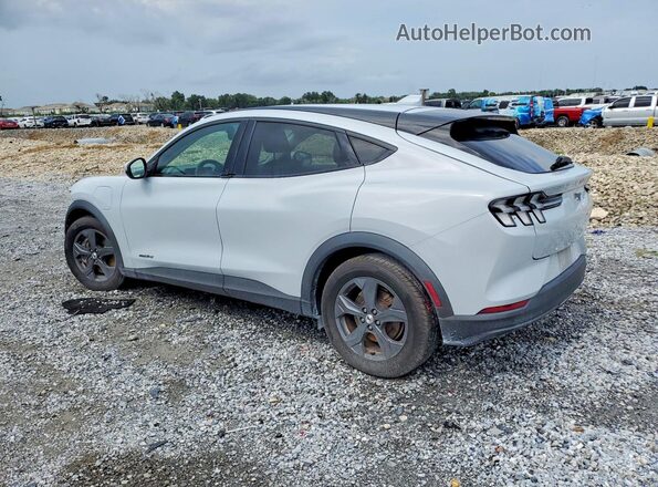 3FMTK1RM3MMA44107 2021 FORD MUSTANG Silver Հետևի ձախ