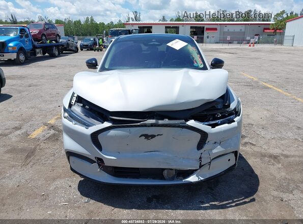3FMTK2R71MMA44204 2021 FORD MUSTANG MACH-E Silver Вид щитка приладів