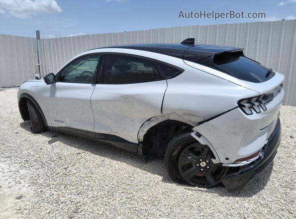 3FMTK2R72MMA08926 2021 FORD MUSTANG Gray 