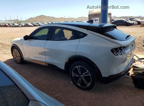 3FMTK3R43PMA85501 2023 FORD MUSTANG White Tył lewy