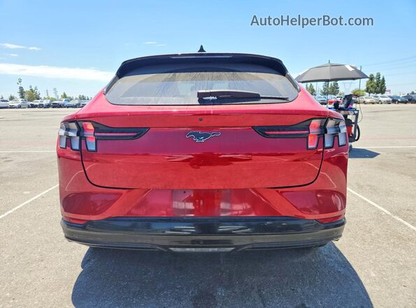 3FMTK3RMXMMA20561 2021 FORD MUSTANG Charcoal Հետևի տեսք