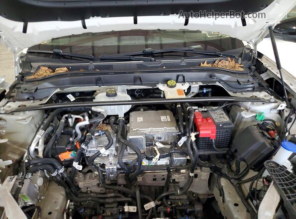 3FMTK3SU6PMA66872 2023 FORD MUSTANG White Вид задньої частини салону