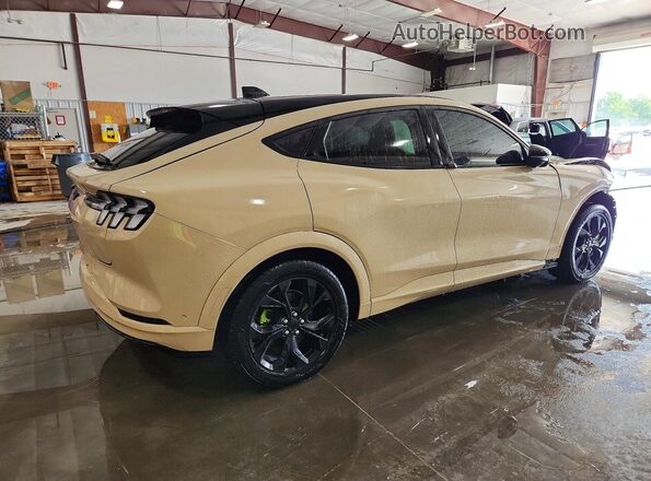 3FMTK3SU7MMA02416 2021 FORD MUSTANG Tan Trasero derecho
