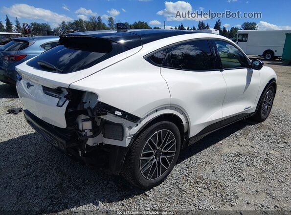 3FMTK3SU7RMA05260 2024 FORD MUSTANG MACH-E White უკანა მარჯვენა