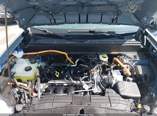 3FTTW8M30RRB46278 2024 FORD MAVERICK Light Blue Widok z tyłu