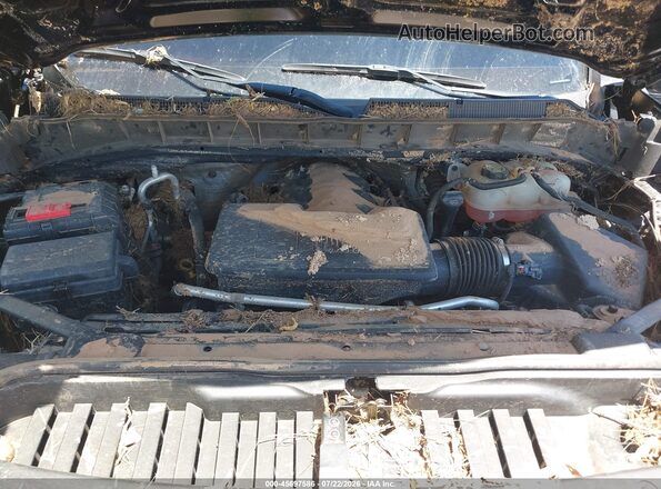 3GCNAAED2RG281683 2024 CHEVROLET SILVERADO Black Vista trasera