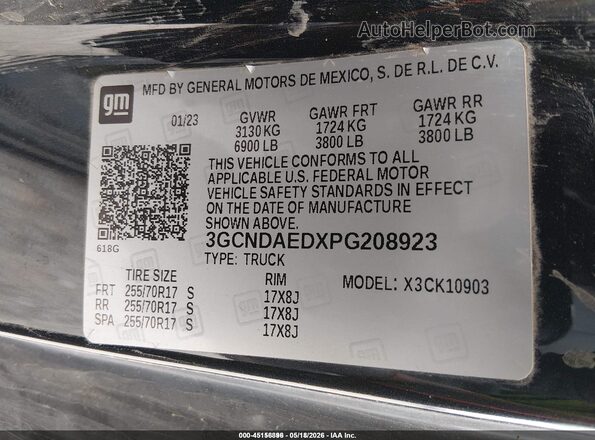 3GCNDAEDXPG208923 2023 CHEVROLET SILVERADO Blue Widok komory silnika