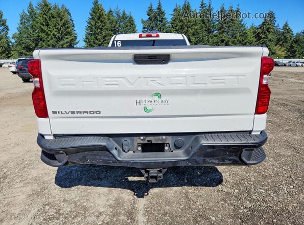 3GCNWAEH6LG134925 2020 CHEVROLET SILVERADO Белый Вид сзади