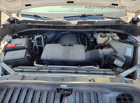 3GCNWAEH6LG134925 2020 CHEVROLET SILVERADO Белый Вид задней части салона