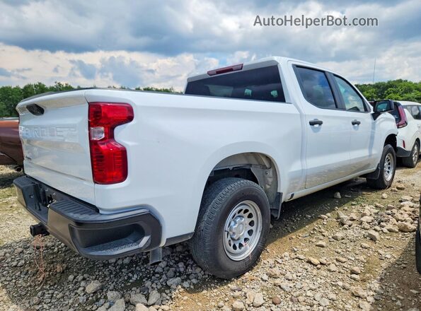 3GCPAAEK5RG267543 2024 CHEVROLET SILVERADO White Tył prawy
