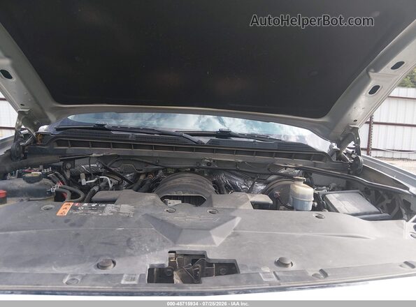 3GCPCREC9HG479541 2017 CHEVROLET SILVERADO Silver Հետևի տեսք