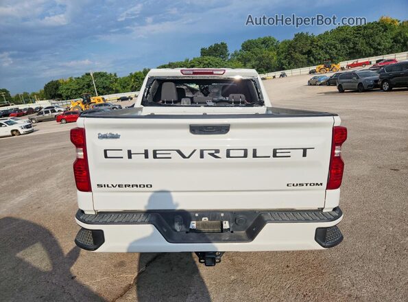 3GCPDBEK6RG361430 2024 CHEVROLET SILVERADO Белый Вид сзади
